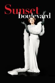 Sunset Boulevard ซับไทย