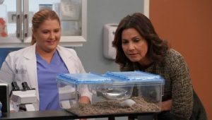 Grey s Anatomy Season 14 แพทย์มือใหม่ หัวใจเกินร้อย ปี 14 ตอนที่ 14