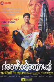 ก่องข้าวน้อยฆ่าแม่ พากย์ไทย
