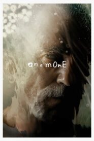 Anemone ซับไทย ซูม