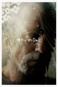Anemone ซับไทย ซูม