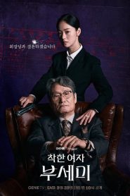 Ms. Incognito Season 1 ภารกิจลับบอดี้การ์ดสาว ปี 1 ซับไทย