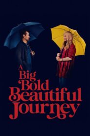 A Big Bold Beautiful Journey ขับตรงไปเล็กน้อยบนถนนแห่งรัก ซับไทย