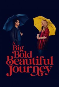 A Big Bold Beautiful Journey ขับตรงไปเล็กน้อยบนถนนแห่งรัก ซับไทย