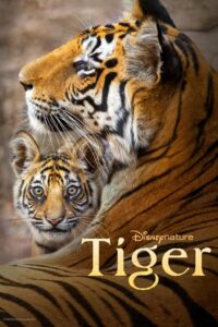 Tiger ซับไทย