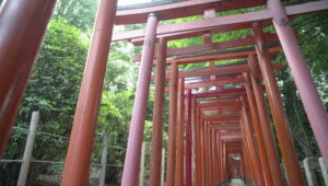 Kantaro: The Sweet Tooth Salaryman Season 1 คันทาโร่: เซลส์แมนนักชิมของหวาน ปี 1 ตอนที่ 12