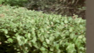 Big Love Season 1 บิ๊กเลิฟ ปี 1 ตอนที่ 3