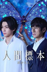 Human Specimens Season 1 ปริศนาตัวอย่างมนุษย์ ปี 1 ซับไทย