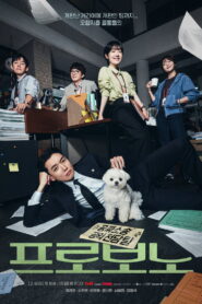 Pro Bono Season 1 สู้สุดใจทนายอาสา ปี 1 ซับไทย