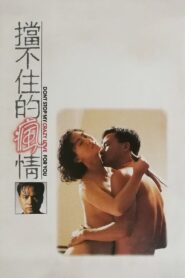 Crazy Love(擋不住的瘋情) รักผิดต้องลองใหม่ พากย์ไทย