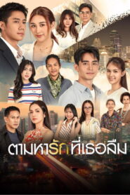 Tam Ha Rak Thi Thoe Luem ตามหารักที่เธอลืม พากย์ไทย