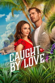 Caught by Love ซับไทย