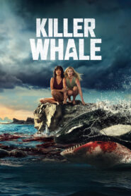 Killer Whale ซับไทย