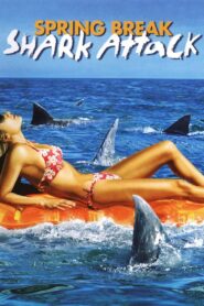 Dangerous Waters Shark Attack ฝูงฉลามเขี้ยวเพชฌฆาต พากย์ไทย