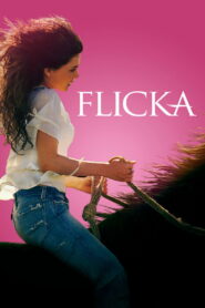 Flicka ฟลิคกา เจ้าม้าเพื่อนรัก ซับไทย