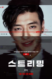 Streaming ซับไทย