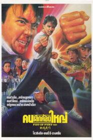 Fist of Fury คนเล็กต้องใหญ่ ภาค 1 (โจวซิงฉือ) พากย์ไทย