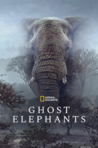 Ghost Elephants ซับไทย