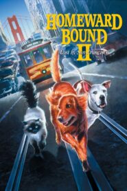 Homeward Bound 2 Lost in San Francisco 2 หมา 1 แมว ภาค 2 ใครจะพรากเราไม่ได้ ตอน ตะลุยนครซานฟรานซิสโก พากย์ไทย