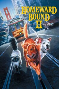 Homeward Bound 2 Lost in San Francisco 2 หมา 1 แมว ภาค 2 ใครจะพรากเราไม่ได้ ตอน ตะลุยนครซานฟรานซิสโก พากย์ไทย