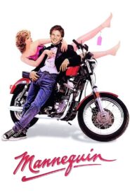 Mannequin เทวดาทำหล่น ซับไทย