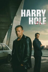 Detective Hole ยอดนักสืบแฮร์รี โฮล พากย์ไทย/ซับไทย