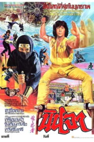 Ninja in the Dragon s Den นินจา พากย์ไทย