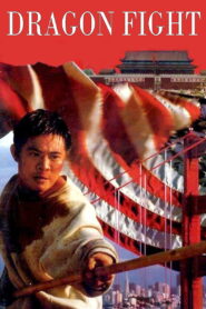 Dragon Fight (龍在天涯) มังกรกระแทกเมือง ซับไทย