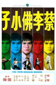 The New Shaolin Boxers ไอ้หนุ่มไซลีฟู พากย์ไทย