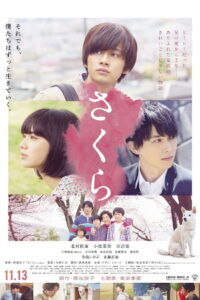 Sakura(さくら) ซับไทย