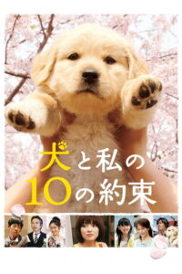 10 Promises to My Dog 10 ข้อสัญญาน้องหมาของฉัน พากย์ไทย
