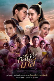 Aroma of Affection กลิ่นมาลี พากย์ไทย
