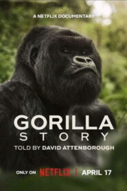 A Gorilla Story Told by David Attenborough เล่าเรื่องกอริลลา โดยเดวิด แอทเทนเบอเรอห์ พากย์ไทย/ซับไทย
