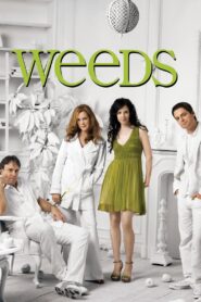 Weeds Season 3 ม่ายชุลมุน ปี 3 ซับไทย