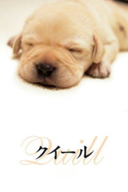 Quill The Life of a Guide Dog(クイール) โฮ่งฮับ เจ้าตัวเนี้ยซี้ร้อยเปอร์เซ็นต์ พากย์ไทย