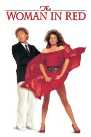 The Woman in Red นับแต่นี้หัวใจมีแต่กระโปรงแดง พากย์ไทย