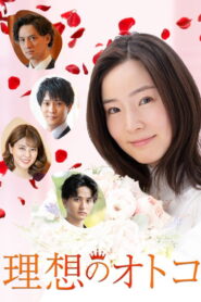 The Ideal Man ซับไทย