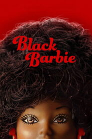 Black Barbie A Documentary แบล็ก บาร์บี้ ซับไทย