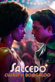 Salcedo Leather and Boogaloo ซัลเซโด จังหวะชีวิตคนกลางคืน ซับไทย