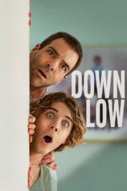 Down Low กิ๊กไม่กั๊ก ทางรักสีรุ้ง ซับไทย